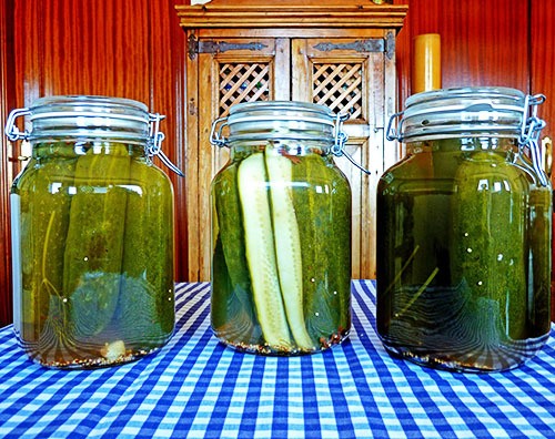canned dill pickles, preserves, canning. pressure canning